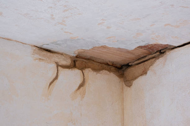 Best Fire Damage Restoration  in Aviston, IL