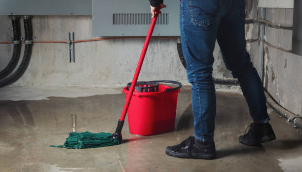 Best Emergency water damage restoration  in Aviston, IL