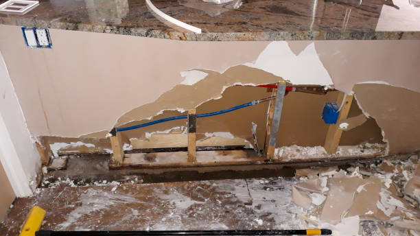 Best Water damage restoration near me  in Aviston, IL