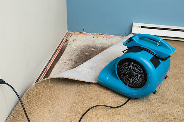 Best Residential water damage restoration  in Aviston, IL
